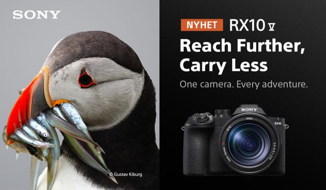 Sony DSC-RX10 V