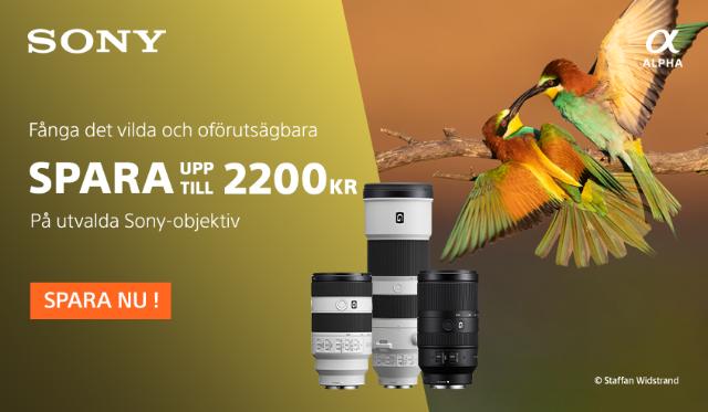 Sony Wildlife kampanj banner