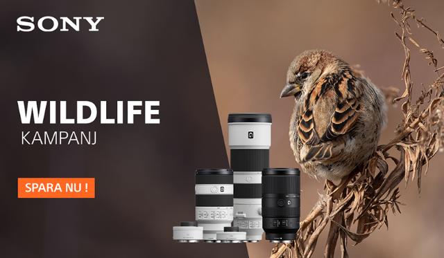 Sony Wildlife kampanj