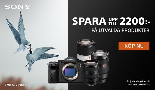 Sony Instant Save
