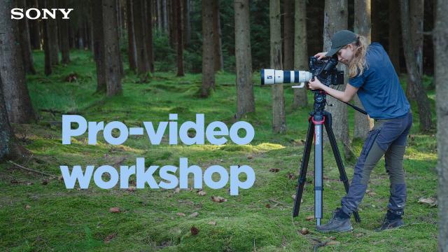 Sony pro-video workshop