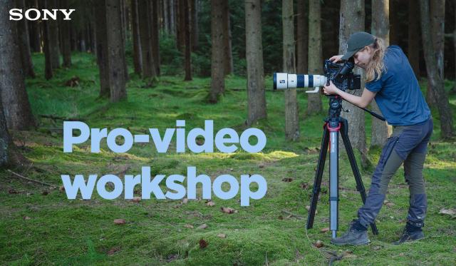 Sony Pro-video workshop i Zoo