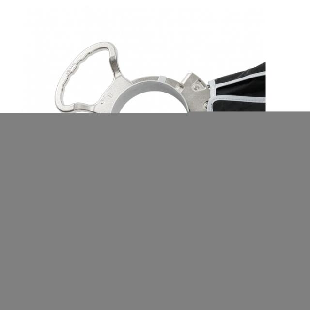 APUTURE QUICK DOME 60