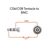 C06-LANG2-15deebb1-2e50-4aee-a45f-5540dbb03911