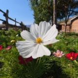 DJI483611-LANG2-1eb1ebe9-827f-449c-a261-d0de2f8cb4b3