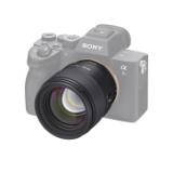 SAM133667-LANG2-228b71e1-919e-453a-8075-c3d233fe05d4