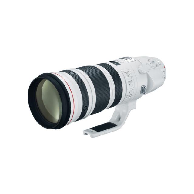 CANON EF 200-400MM F/4 L IS USM EXT. 1,4X