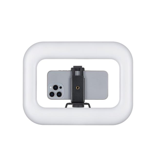 Godox Litemons SR20R Full Color LED Light Panel