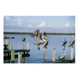 IMP56680-LANG2-313dc1f8-49a7-49f7-97e6-d0d6061125ea