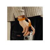 PEAK134526-LANG2-345f5595-57dc-4f4b-ad85-631f5d6da50c