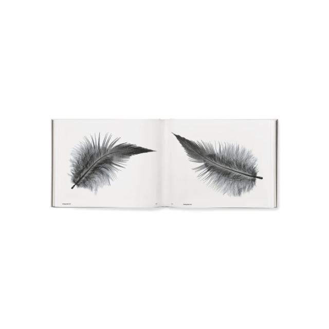STARLING - SØREN SOLKÆR - SIGNERET UDGAVE