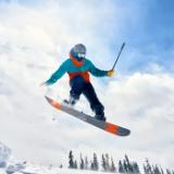 INSTA133579-LANG2-36a9d363-76ec-47d3-b5bd-a2fefad72937