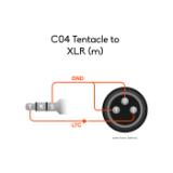 C04-LANG2-3ff9e6b6-dc8b-4253-92ef-9de4ea9e3c10