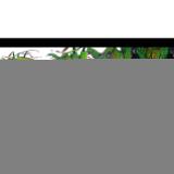 LAOWA131788-LANG2-53d944dd-72a7-4296-bafe-c04ad6ebc38a
