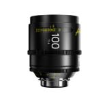 DZO-SAP100MPL-LANG2-57165507-0c04-4474-88f4-e64fcd530ca8