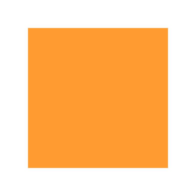 Rosco E #204 full ct orange