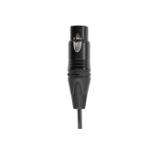 C05-LANG2-7e9d38f0-0bf8-4d69-bf1f-0505dff92571