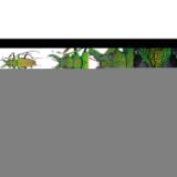 LAOWA131785-LANG2-8fb56634-fa38-4924-b284-89df4881a47e