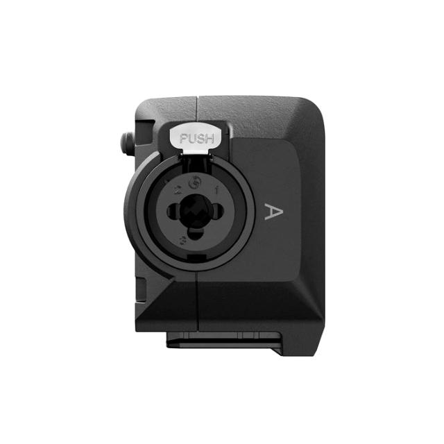 ZOOM DUAL XLR/TRS INPUT CAPSULE