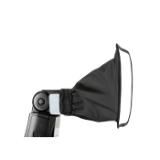 LASLS2211-LANG2-d5961e9c-371e-4095-9978-eef728b73e1d