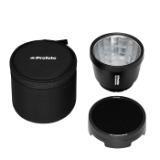 PROF101308-LANG2-dc147ac3-bd3b-4626-9ca8-5c07dbe47339