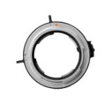 DZO-TP-MPLAZ-LANG2-f89a4a9a-26a3-48f8-a4a8-3ca6c1160708