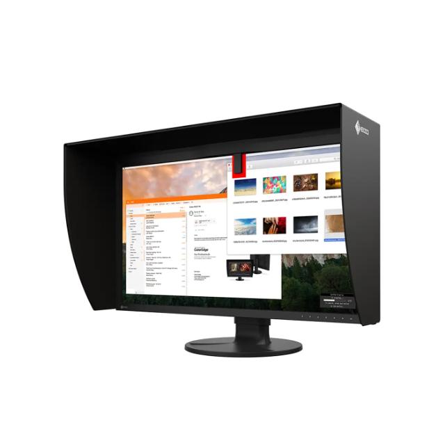 EIZO COLOREDGE CG3100X