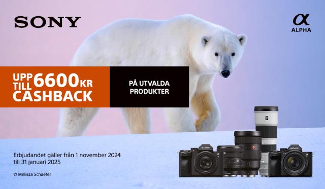 Sony Cashback