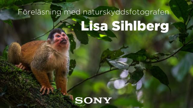 Sony event med Lisa Sihlberg