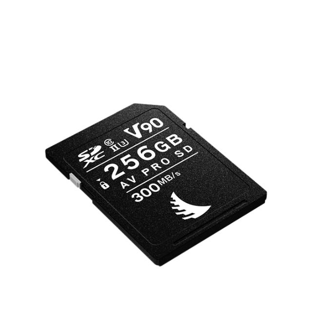 ANGELBIRD AVPRO SD MKII 256GB V90
