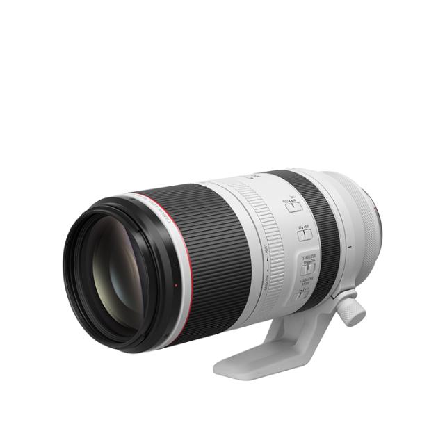 CANON RF 100-500MM F/4,5-7,1 L IS USM