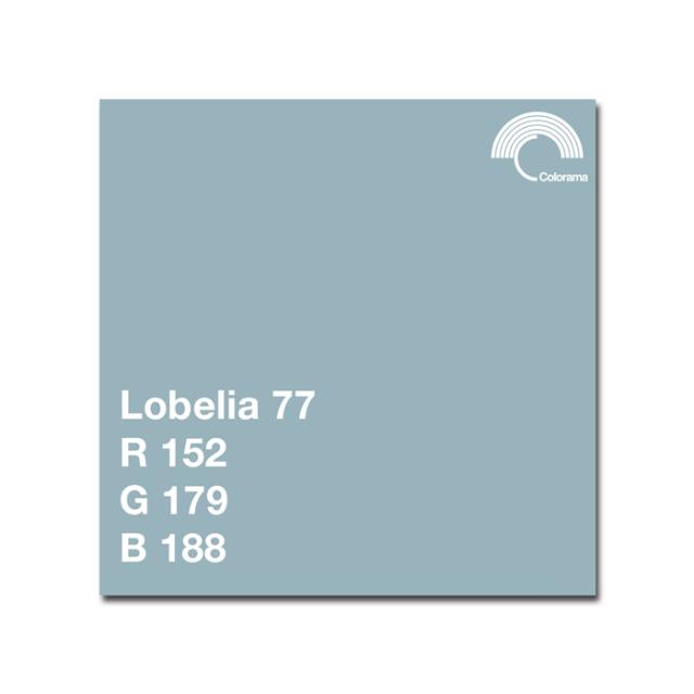 COLORAMA 177 LOBELIA 2.72X 11 M.
