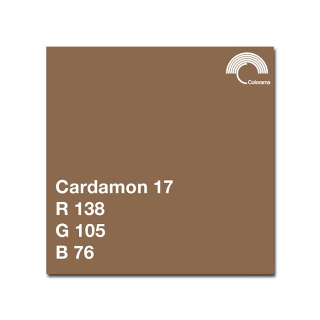 COLORAMA 117 CARDAMON 2.72 X 11 M.