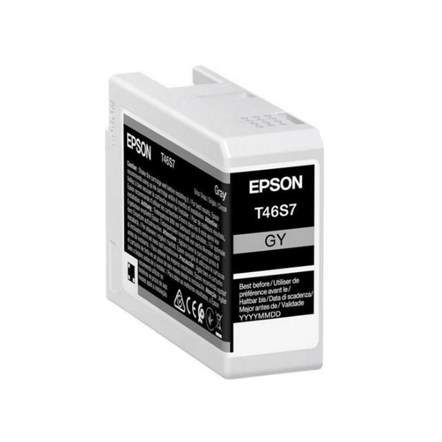 EPSON T46S700 GREY FOR P700 25ML