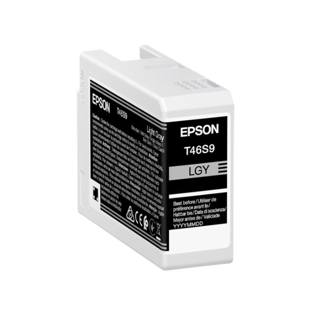 EPSON T46S900 LIGHT GREY FOR P700 25ML